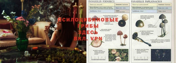 мескалин Алексеевка