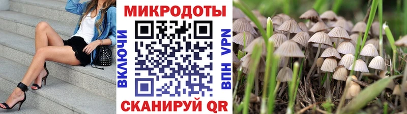 купить наркотики цена  Ивдель  Псилоцибиновые грибы GOLDEN TEACHER 